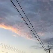 Rooの画像