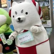 みほの画像