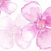 REEの画像