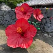 @ゆか【プロフ必読】の画像