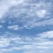 うた★こたの画像