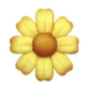 SMILE SHOPの画像