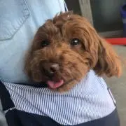 メグ プロフ読んで下さい❤︎の画像