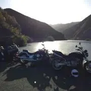 ホーネットの画像