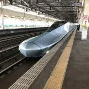 オサの画像