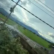 プチプチーニの画像
