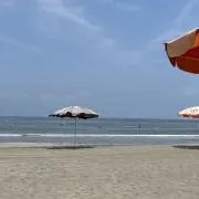 モアナ╰(*´︶`*)╯の画像