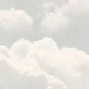 白音の画像