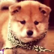 しゅな☻  ※断捨離中✧*の画像