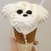 o7hlxの画像
