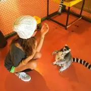ミニュミニュの画像
