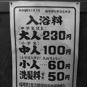 【24時間以内に発送します。】ジャーニーの画像