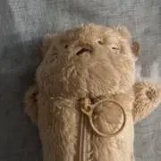 チャトラの画像