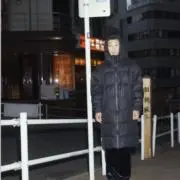 ババチコリの画像