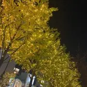 Ron 断捨離中！まとめ買い大歓迎⭐︎の画像