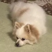 Ryuji