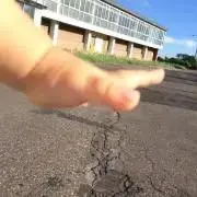はっちの画像