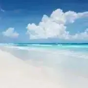 nicoの画像