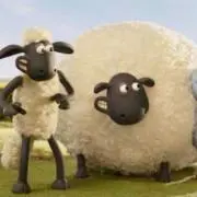 basaの画像