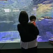 りーの画像