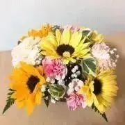 ma__1xx☻の画像