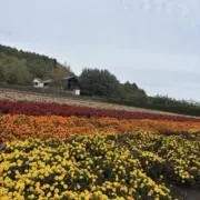 くま子⚠︎プロフ必読★購入前コメント必須の画像