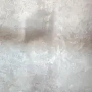 きりんの画像