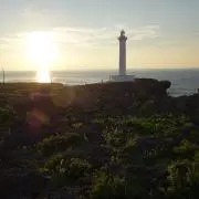 YIの画像