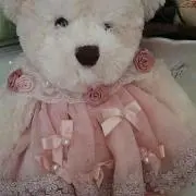 ろっちーの画像