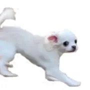 ナカムラ