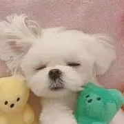 いち
