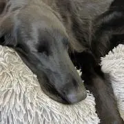nの画像