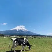 ひろの画像