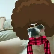 碧