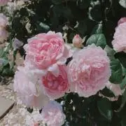 YUN