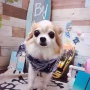 REOの画像