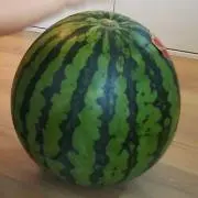 moco