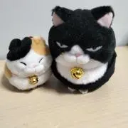 りぃ