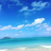 まさの画像
