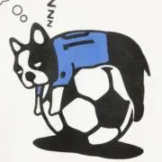 かわの
