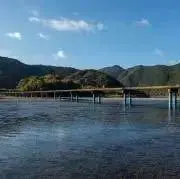 日本代表 大阪 国体 競パン レア - メルカリ