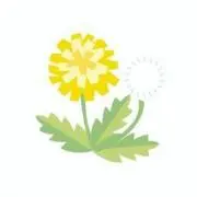 わたぼうし❁の画像