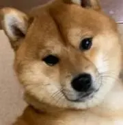 みずたまの画像