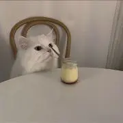つりめの画像