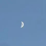 りりの画像