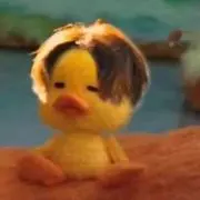 いくらの画像