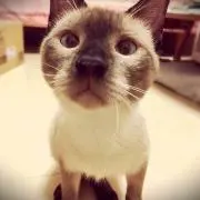 るい