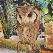 処分前値下げ】僕のヒーローアカデミア 爆豪勝己 ハイカット