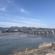 メロンの画像