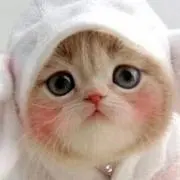 みここ